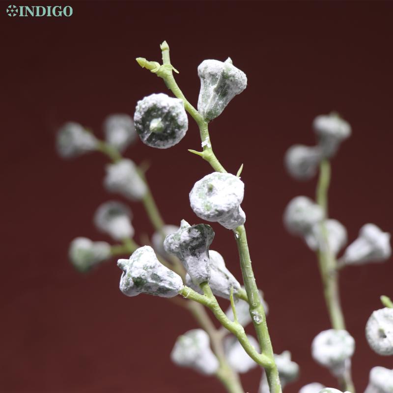 INDIGO- Eucalyptus Berry Modern Space Display Artificial Plant Wedding Flower Christmas Party Interior Decoration, 1piece
INDIGO- Eucalyptus Berry Modern Space Display Artificial Plant Wedding Flower Christmas Party Interior Decoration, 1piece
