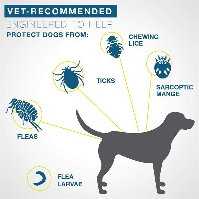FML Pet Collar Anti Flea Ticks Mosquitoes Outdoor Protective Necklace for Dogs Cats Pet Supplies Flea And Tick Collar