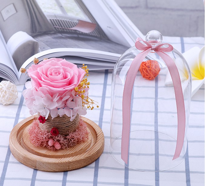 Preserved Valentines Day Gift Everlasting flower With Glass Cover Rose In Glass Dome Mother's Day Gift