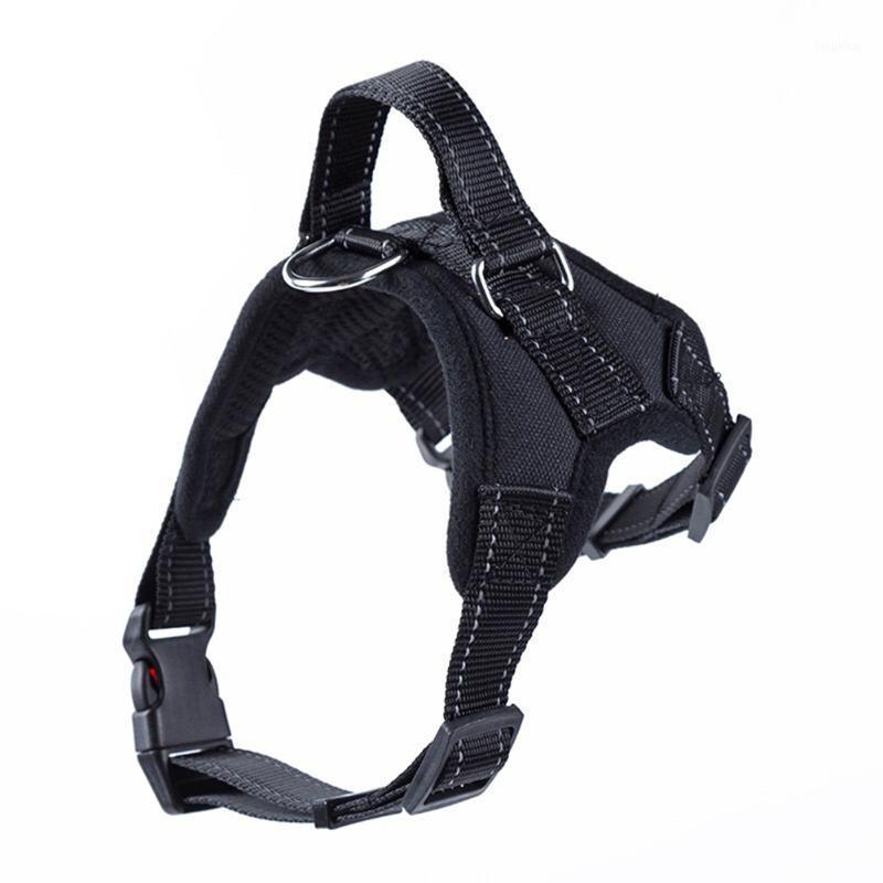 Pet Harness Collar Adjustable Thicken Dogs Chest Strap Leash Rope Pets Outdoor Walking Safety Elastic Vest Ropes Dropshipping1
Pet Harness Collar Adjustable Thicken Dogs Chest Strap Leash Rope Pets Outdoor Walking Safety Elastic Vest Ropes Dropshipping1