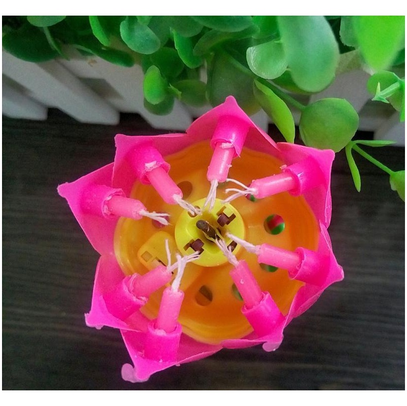 Lotus Music Candle Lotus Singing Birthday Party Cake Music Flash Candle Flower Music Candle Cake Accessories Holid jllGcl lucky2005
Lotus Music Candle Lotus Singing Birthday Party Cake Music Flash Candle Flower Music Candle Cake Accessories Holid jllGcl lucky2005