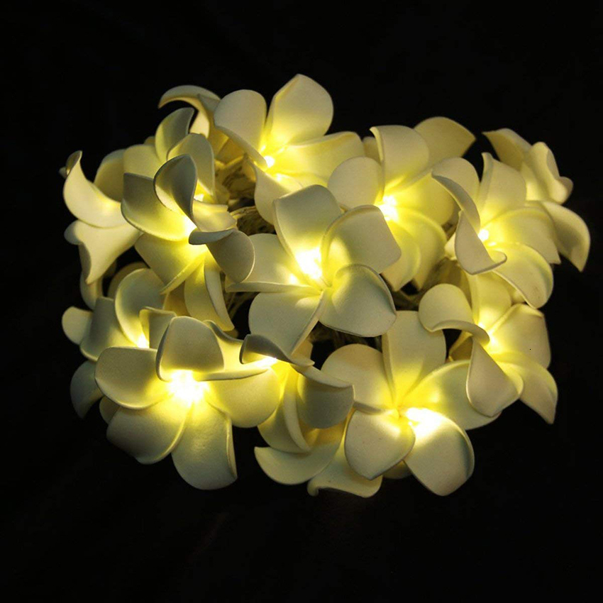 2021 New 60leds 100leds Creative Diy Frangipani Led String Ac220v Floral Holiday Wedding Christmas Party Bedroom Decoration Lights 485e
2021 New 60leds 100leds Creative Diy Frangipani Led String Ac220v Floral Holiday Wedding Christmas Party Bedroom Decoration Lights 485e