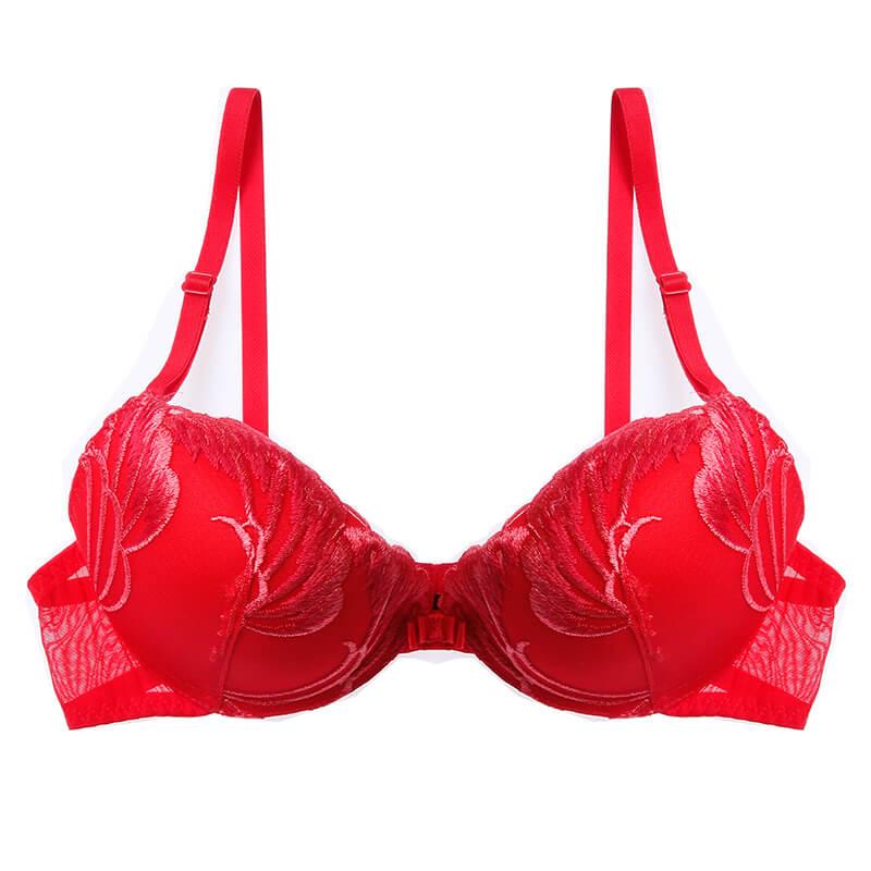 Lilymoda Sexy 3/4 Cup Push Up Bras Lingerie Women's Underwear Intimates Embroidery Floral Black Red Blue Grey Bra Brassiere Soft
Lilymoda Sexy 3/4 Cup Push Up Bras Lingerie Women's Underwear Intimates Embroidery Floral Black Red Blue Grey Bra Brassiere Soft