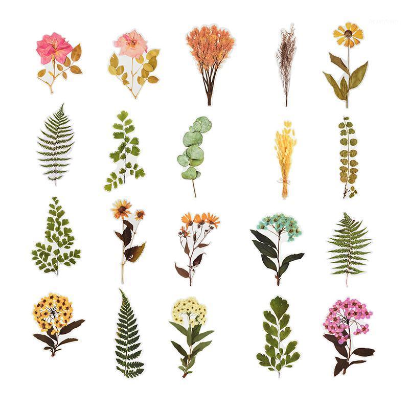 6 Pcs/set Vintage Leaves Flowers Series Stickers Journal Hand Account Book Card Postcard Decoration Scrapbooking Stickers1
6 Pcs/set Vintage Leaves Flowers Series Stickers Journal Hand Account Book Card Postcard Decoration Scrapbooking Stickers1
