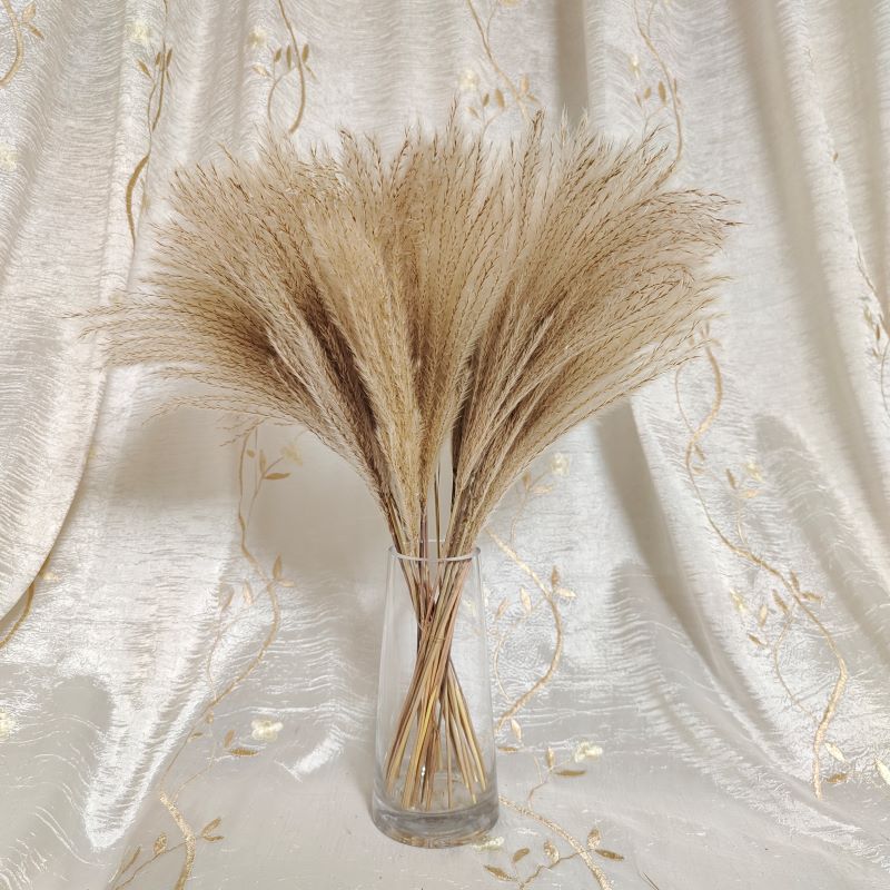 30 Stems Pampas Grass Fluffy Reed Dried Flower Wedding Decor Home Office Decoration, Raw color
30 Stems Pampas Grass Fluffy Reed Dried Flower Wedding Decor Home Office Decoration, Raw color