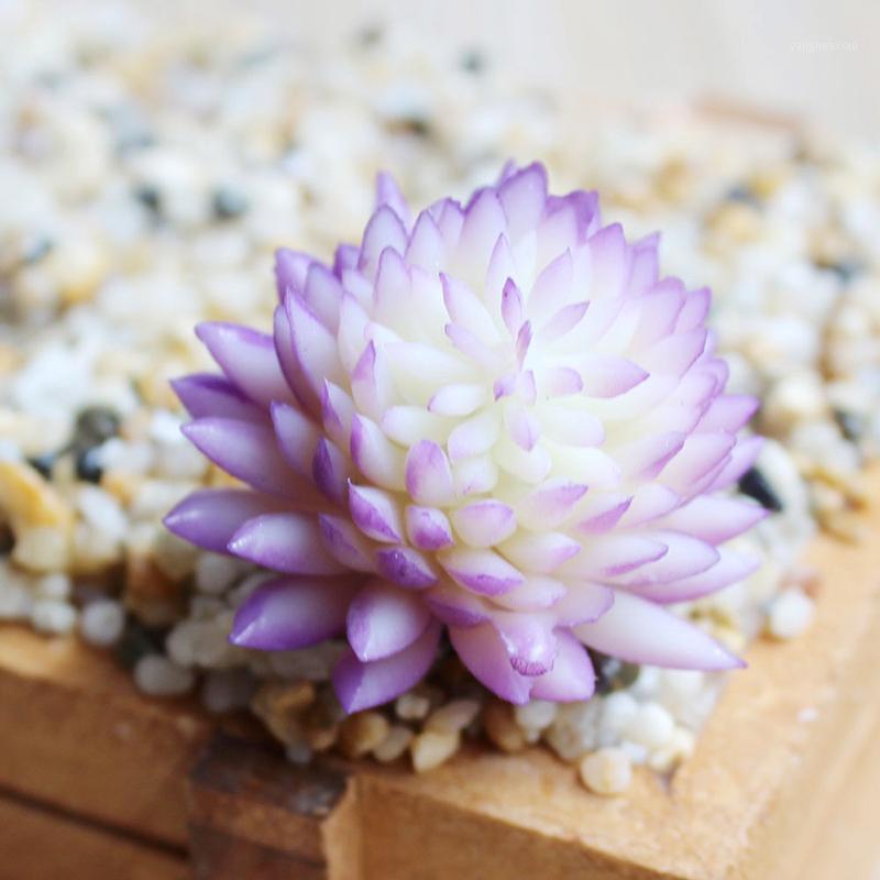 One Piece New Artifical Plastic Succulent Plant Cactus Echeveria Flower Home Office Decor Gift Artificial Succulents Decoration1, Purple
One Piece New Artifical Plastic Succulent Plant Cactus Echeveria Flower Home Office Decor Gift Artificial Succulents Decoration1, Purple
