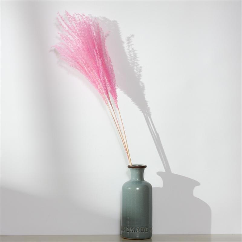 10pcs dried pure natural small pampas grass bouquets natural dried reed flowers bouquets Pink, 10pcs pink color
10pcs dried pure natural small pampas grass bouquets natural dried reed flowers bouquets Pink, 10pcs pink color