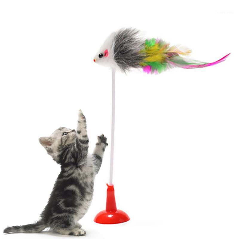 1PC Funny Cat Toys Elastic Feather False Mouse Spring Sucker Toys for Cat Playing Pet Toy Training for Kitten Cats1
1PC Funny Cat Toys Elastic Feather False Mouse Spring Sucker Toys for Cat Playing Pet Toy Training for Kitten Cats1