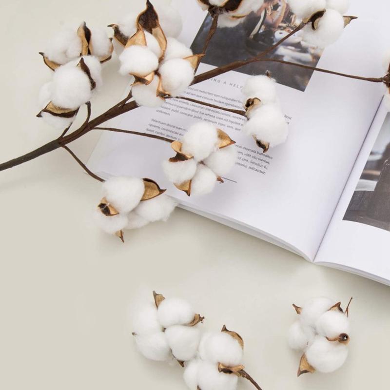 Cotton Stems 6 Loaded 10 Balls 55Cm Farmhouse Display Filler Lace Decoration Simulation Dried Flower Cotton Long Branches1, White
Cotton Stems 6 Loaded 10 Balls 55Cm Farmhouse Display Filler Lace Decoration Simulation Dried Flower Cotton Long Branches1, White