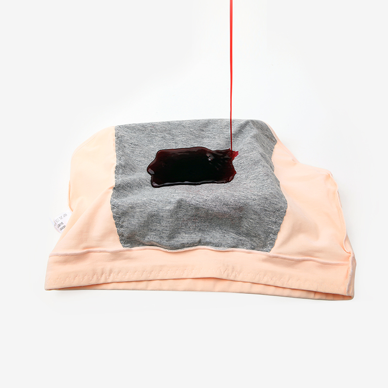 Dropshipping 5Pcs/lot Leak Proof Menstrual Period Panties Women Underwear Physiological Pants Breathable Cotton Ladies Briefs 201112