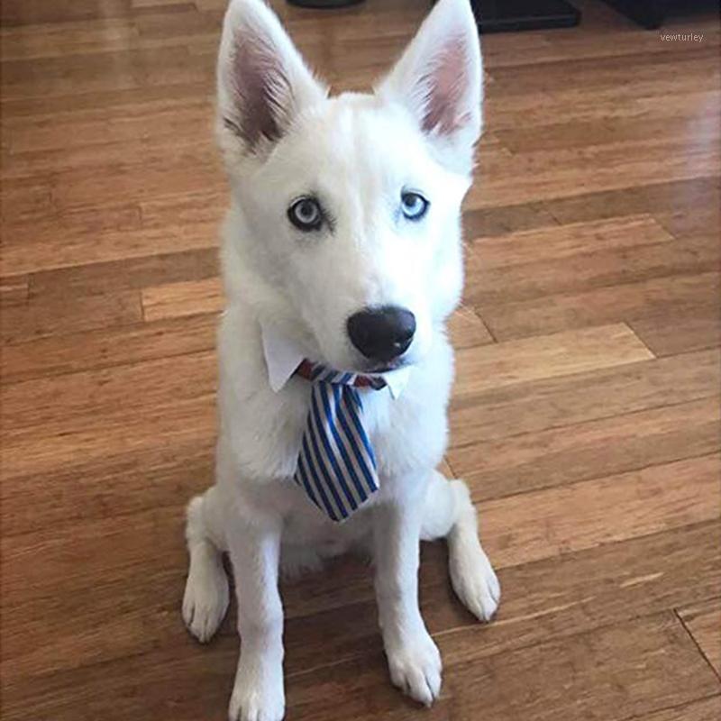 Puppy Dog Cat Neck Ties Mixed Patterns Adjustable Dog Ties Accessories for Cats/Small Dogs Pet Supplies D301
Puppy Dog Cat Neck Ties Mixed Patterns Adjustable Dog Ties Accessories for Cats/Small Dogs Pet Supplies D301