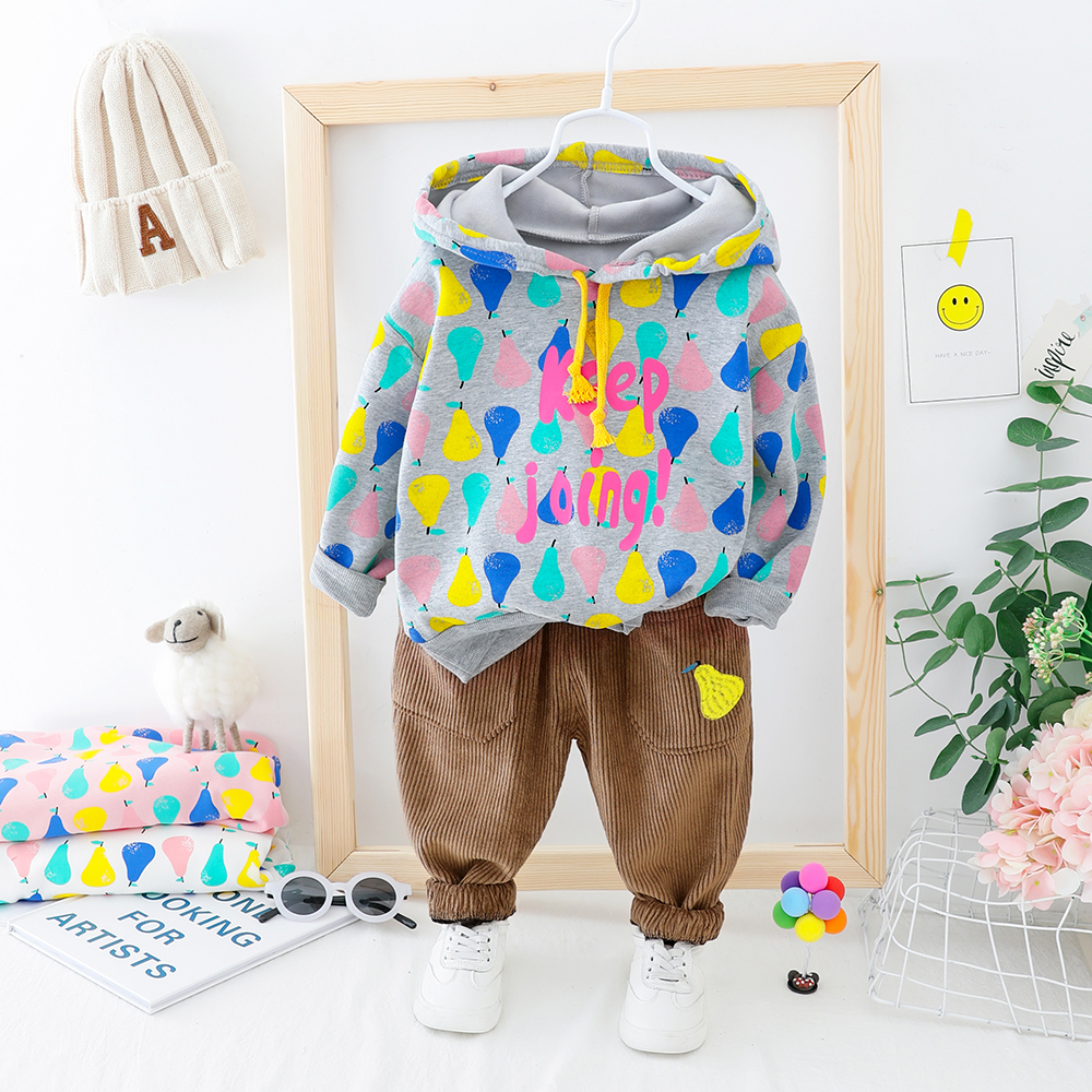 HYLKIDHUOSE 2019 Baby Girls Boys Clothing Sets Toddler Infant Clothes Suits Autumn Hooded Plush Kids Tops Pants Child CostumeX1019