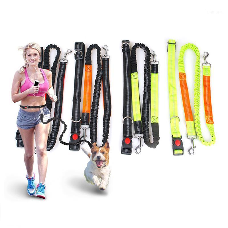 Reflective Leash Traction Rope Pet Dog Running Belt Elastic Hands Freely Jogging Pull Dog Leash Metal D-Ring Leashes1
Reflective Leash Traction Rope Pet Dog Running Belt Elastic Hands Freely Jogging Pull Dog Leash Metal D-Ring Leashes1