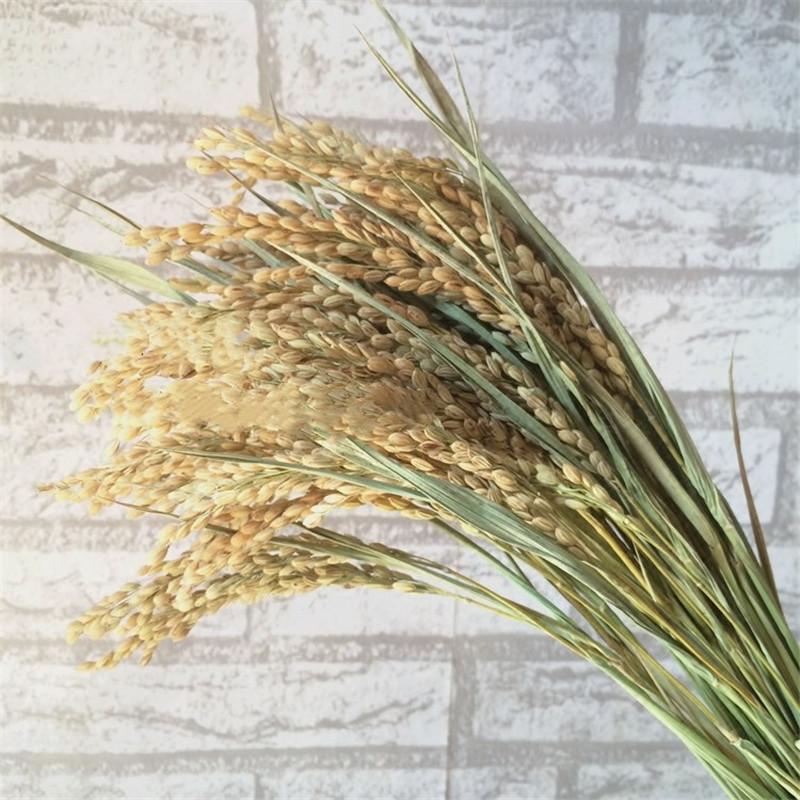 30pcs/lot Natural Spike Dried Flower Wheat Rice Grain Bouquet Natural Plant Wedding Decoration, 30 stems color
30pcs/lot Natural Spike Dried Flower Wheat Rice Grain Bouquet Natural Plant Wedding Decoration, 30 stems color