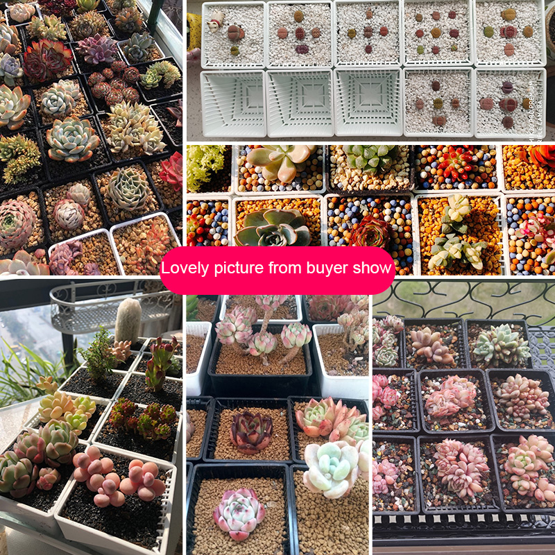 Meshpot 2 3 4 Inches Square Plastic Succulents Planter Pots With Tray Set,Nursery Pot Cactus Plant Pot Garden Pot LJ201222