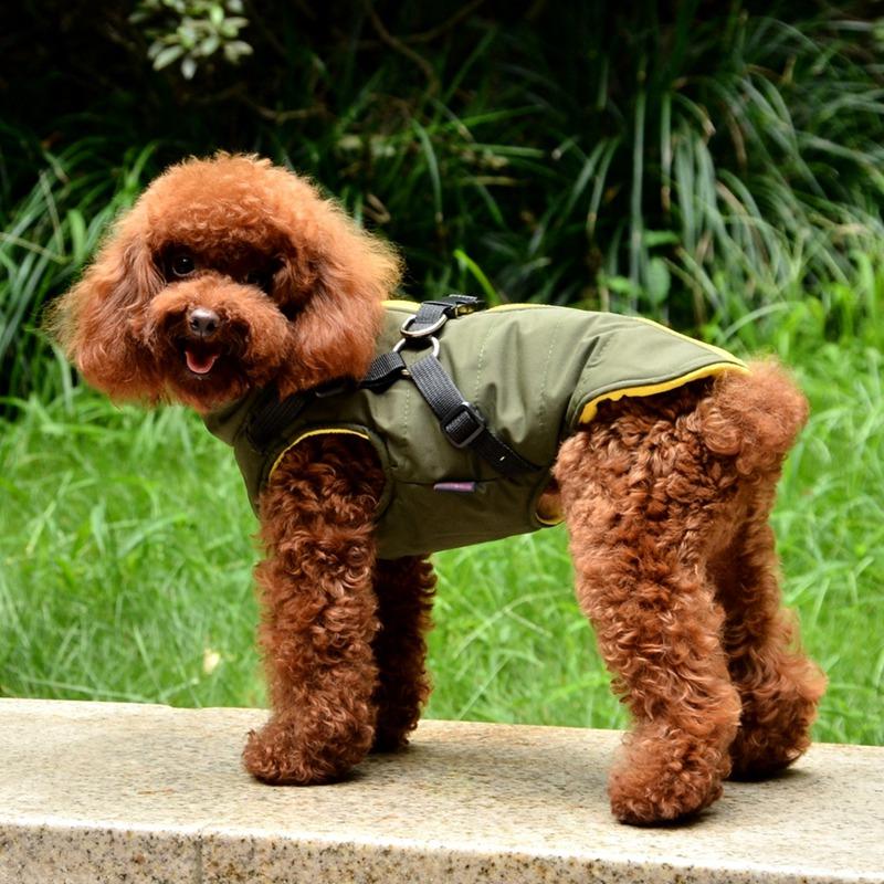 Small Dog Vest Harness Pet Winter Warm 2 In 1 Outfit Padded Jacket For Small Puppy Dogs Pet Printed Cold Weather Coat
Small Dog Vest Harness Pet Winter Warm 2 In 1 Outfit Padded Jacket For Small Puppy Dogs Pet Printed Cold Weather Coat
