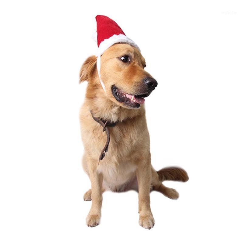 Pet Christmas Ornaments Decoration Elastic Belt Santa Hats Cap for New Years Party Props Navidad Hats Santa Pet Supplies1
Pet Christmas Ornaments Decoration Elastic Belt Santa Hats Cap for New Years Party Props Navidad Hats Santa Pet Supplies1