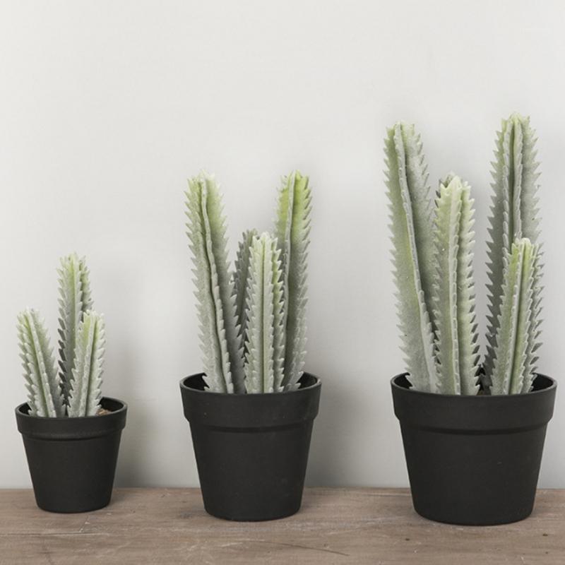 20cm/25cm/31cm Cactus Artificial Succulents Fake Plastic Faux Green Desert Plants Large Flower Arrangement Home Garden Decor1
20cm/25cm/31cm Cactus Artificial Succulents Fake Plastic Faux Green Desert Plants Large Flower Arrangement Home Garden Decor1