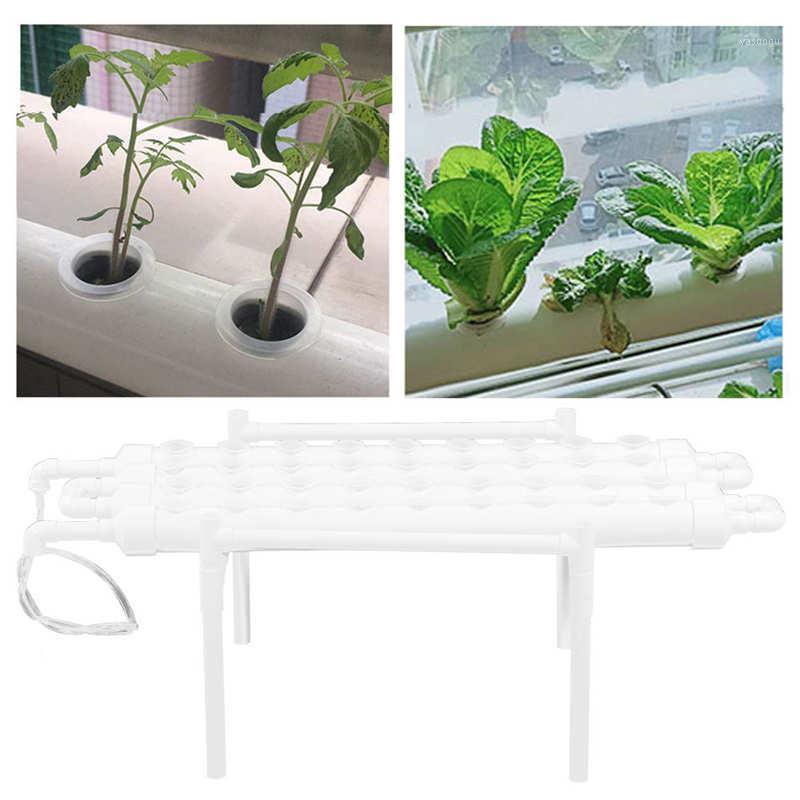 Planters & Pots Hydroponic Grow Kit 1 Layer 36 Plant Sites PVC Pipes Hydroponics Growing System 100-240V
Planters & Pots Hydroponic Grow Kit 1 Layer 36 Plant Sites PVC Pipes Hydroponics Growing System 100-240V
