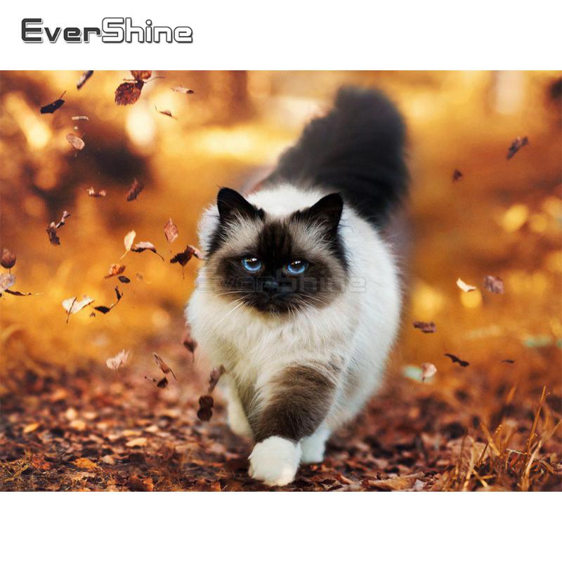 EverShine 5D Diamond Painting Animals Full Square Cross Stitch Diamond Embroidery Sale Rhinestones Art Cat Home Decoration
EverShine 5D Diamond Painting Animals Full Square Cross Stitch Diamond Embroidery Sale Rhinestones Art Cat Home Decoration