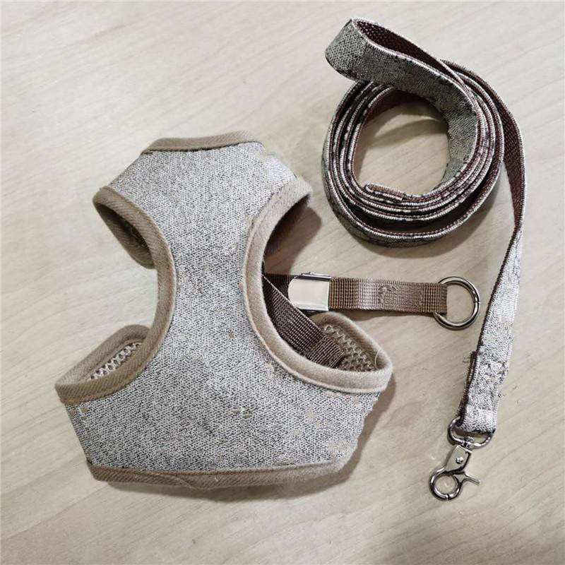 Free Shipping High Quality PU Leashes Dog Collar Cat Leash 2PCS Set Retro Pet Collar Poodle Schnauzer Small Size Rope Neckcollar