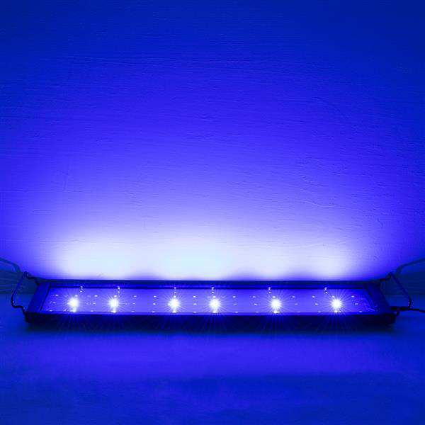 Hot selling 15W 48LED Full Spectrum Aquarium Lights high brightness Sea Coral Lamps 23.6inch (Suitable For 23.6-31.49inch Long Aquarium)
Hot selling 15W 48LED Full Spectrum Aquarium Lights high brightness Sea Coral Lamps 23.6inch (Suitable For 23.6-31.49inch Long Aquarium)