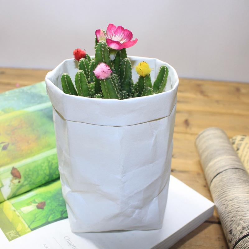 Washable Kraft Paper Storage Bag Plant Flowers Pots Multifunction Home Storage Bag Reuse Paper Eco Kitchen Home Decoration
Washable Kraft Paper Storage Bag Plant Flowers Pots Multifunction Home Storage Bag Reuse Paper Eco Kitchen Home Decoration