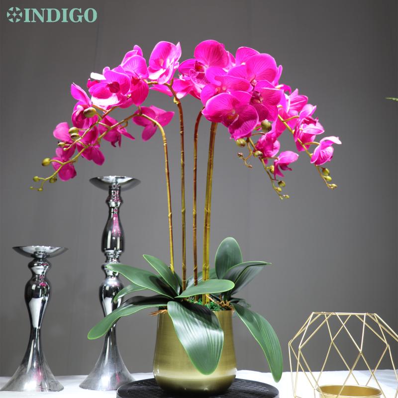 INDIGO - 1 set Bonsin Real Touch Purple Orchids Traditional DIY Flower Arrangment With Pot Event Centerpiece Free Shipping, 5 orchid 3 leaf
INDIGO - 1 set Bonsin Real Touch Purple Orchids Traditional DIY Flower Arrangment With Pot Event Centerpiece Free Shipping, 5 orchid 3 leaf