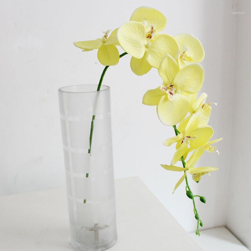 Butterfly Orchid Phalaenopsis Flower Artificial Wedding Living Room Office Decor1, Blue
Butterfly Orchid Phalaenopsis Flower Artificial Wedding Living Room Office Decor1, Blue