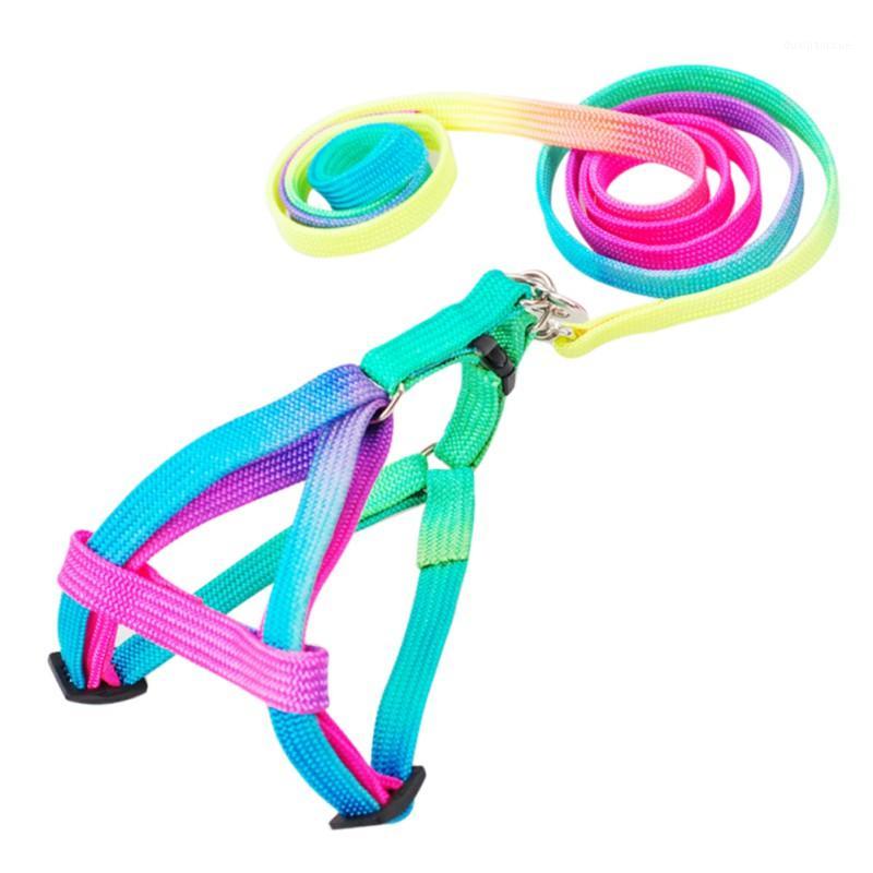 Pet Dog High Quality Strong Durable Nylon Cat Dog Chest Back Harness Leash Set Adjustable Puppy Colorful Harnesses Lead Set1
Pet Dog High Quality Strong Durable Nylon Cat Dog Chest Back Harness Leash Set Adjustable Puppy Colorful Harnesses Lead Set1