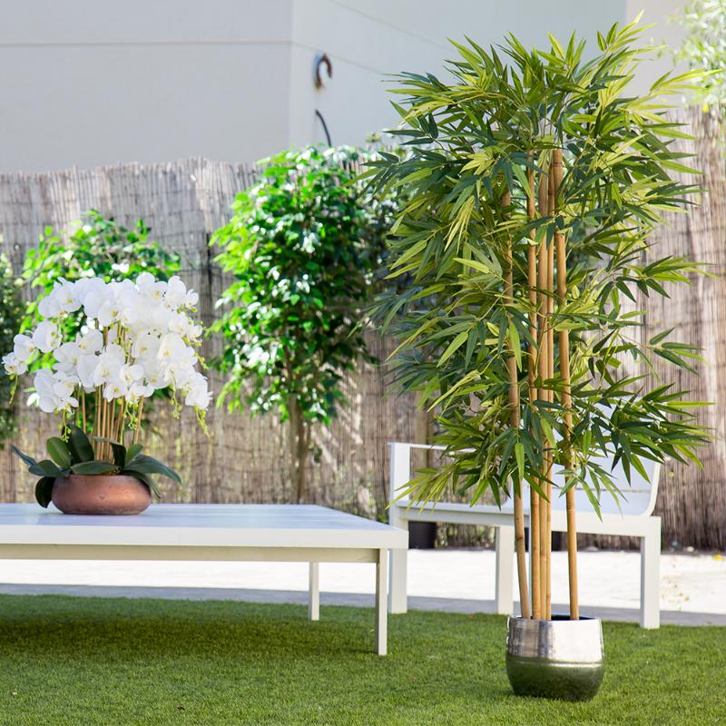 Artificial plant, tree with natural logs, for home decoration, bamboo, Ficus, Wisteria, olive, eucalyptus, Almond, Ficus 100 cm
Artificial plant, tree with natural logs, for home decoration, bamboo, Ficus, Wisteria, olive, eucalyptus, Almond, Ficus 100 cm