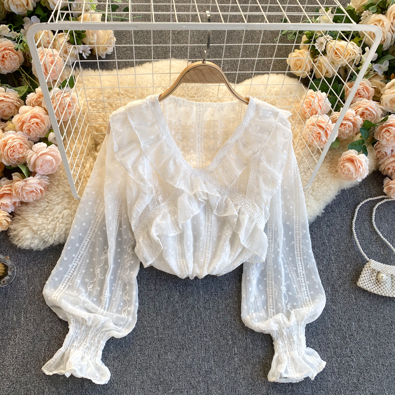 2021 New singer sweet female blouse low puff solid sleeves autumn tops loose fashion shirts CZUH, Black
2021 New singer sweet female blouse low puff solid sleeves autumn tops loose fashion shirts CZUH, Black