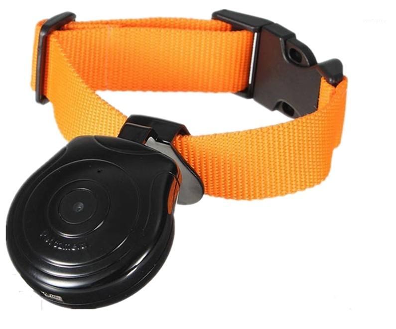 Mini Digital Camera Video Recorder Camera DVR Video Recorder dog collar for dog cat1
Mini Digital Camera Video Recorder Camera DVR Video Recorder dog collar for dog cat1