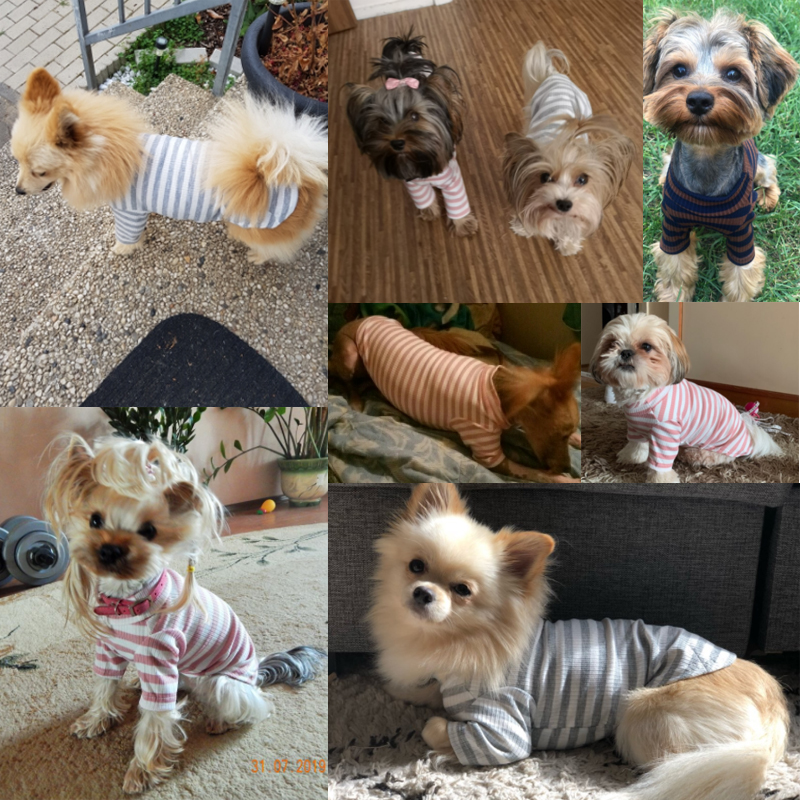 Elastic Bottoming Shirt Pet Dog Striped Clothes Cotton Warm Winter T-shirt Cat Puppy Cosstume Apparel, Pink
Elastic Bottoming Shirt Pet Dog Striped Clothes Cotton Warm Winter T-shirt Cat Puppy Cosstume Apparel, Pink