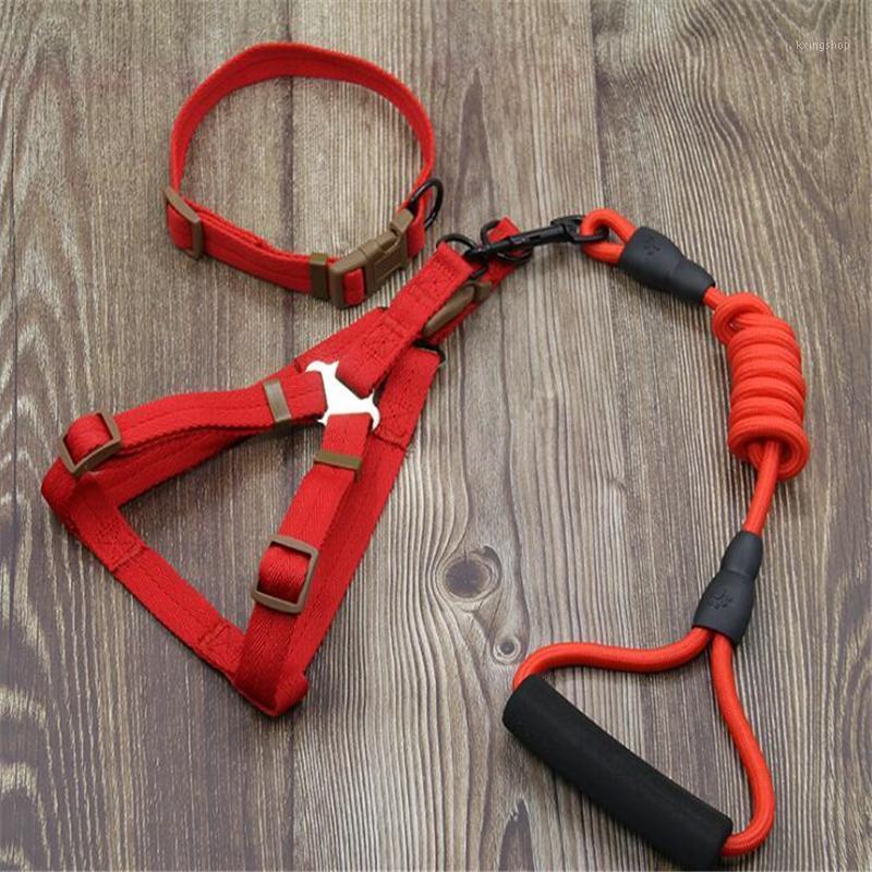 dog leash Nylon Pet Leash for dog & cat Running or Training Collar and Harness 0051
dog leash Nylon Pet Leash for dog & cat Running or Training Collar and Harness 0051