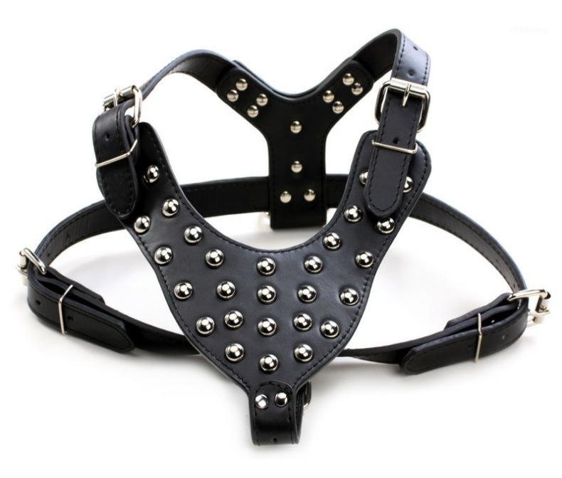 Pet Harness Large Dog Haeness Pet Chest Strap Rivets Fashion Cool Dog Chest Strap Puppy Collar Special New Supplies1
Pet Harness Large Dog Haeness Pet Chest Strap Rivets Fashion Cool Dog Chest Strap Puppy Collar Special New Supplies1