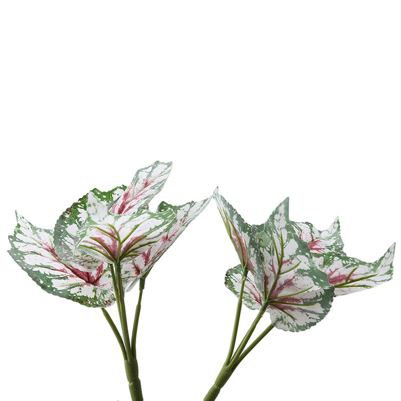 2pcs/lot Artificial Leaf Flower Home Balcony Garden Landscape Decoration Simulation Plants Accessories, Sea otter
2pcs/lot Artificial Leaf Flower Home Balcony Garden Landscape Decoration Simulation Plants Accessories, Sea otter