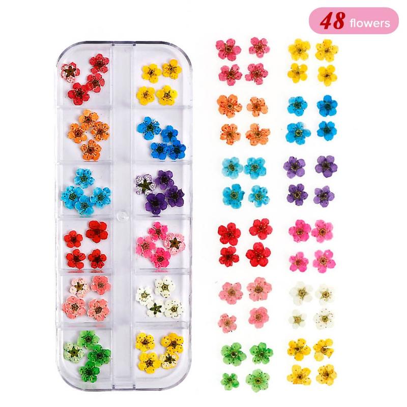 12 Grids/Box Natural Flower for Nail Art 12 Colors Dried Flower Nail Decoration Floral Petal DIY UV Gel Polish Nails Decals
12 Grids/Box Natural Flower for Nail Art 12 Colors Dried Flower Nail Decoration Floral Petal DIY UV Gel Polish Nails Decals