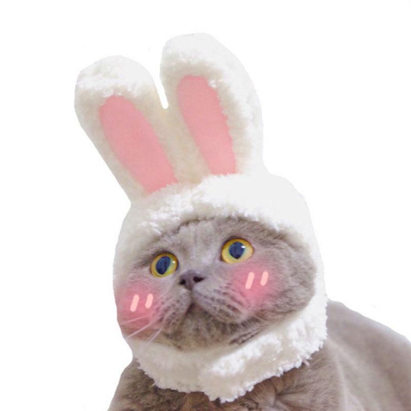 Cat Costumes Pet Dog Headwear Funny Costume Hairband Warm Hat For Year Party Festival Daily Cosplay Accessories Po Props
Cat Costumes Pet Dog Headwear Funny Costume Hairband Warm Hat For Year Party Festival Daily Cosplay Accessories Po Props