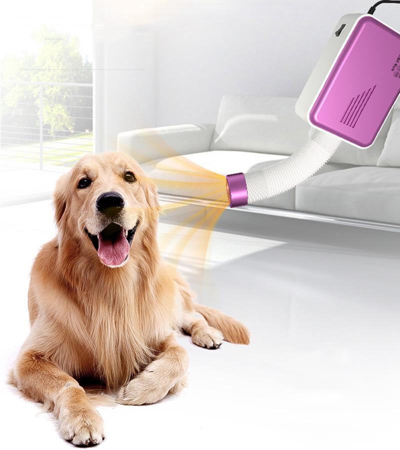Dog Hair Dryer Small Multifunctional Pet Dog Cat Fluff Puff Grooming Winter Summer For Home Mini Blower Warm Wind Fast BlowDryer
Dog Hair Dryer Small Multifunctional Pet Dog Cat Fluff Puff Grooming Winter Summer For Home Mini Blower Warm Wind Fast BlowDryer