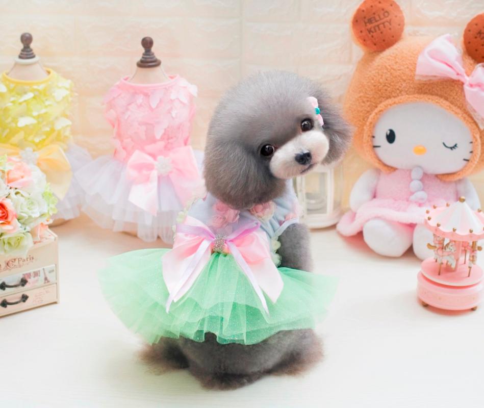 Sweet Little Girl Style Pet Dogs Dress New Popular Small Puppy Dogs Spring Summer Clothing, Green
Sweet Little Girl Style Pet Dogs Dress New Popular Small Puppy Dogs Spring Summer Clothing, Green