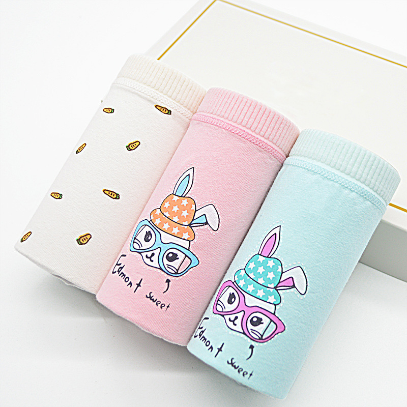 3pcs/lot Leak Proof Menstrual Period Panties Women Leakproof Cotton Physiological Underwear Ladies Cartoon Print Briefs Girl 201112