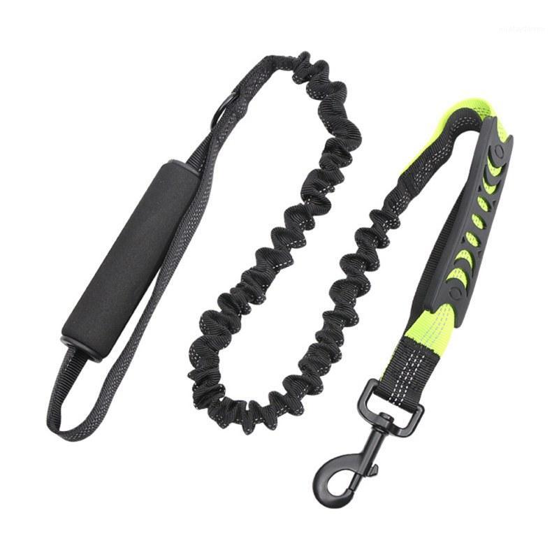 Double Handle Hand Guard Elastic Nylon Dog Leash Pet Training Walking Traction Ropes Dog Accessories1
Double Handle Hand Guard Elastic Nylon Dog Leash Pet Training Walking Traction Ropes Dog Accessories1