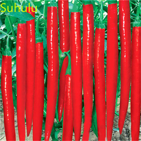 100pcs hot pepper Seeds Garden Indoor Flowers New Variety Light up Your Garden Balcony & Courtyard Purifying Air Bonsai Plant
100pcs hot pepper Seeds Garden Indoor Flowers New Variety Light up Your Garden Balcony & Courtyard Purifying Air Bonsai Plant