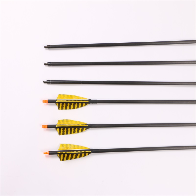 32 inch Hunting Archery carbon arrows 400 spine Yellow and black stripes real feather carbon arrow insert broadheads 
32 inch Hunting Archery carbon arrows 400 spine Yellow and black stripes real feather carbon arrow insert broadheads