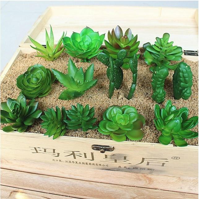 Simulation of Small Green Plants Potted Succulents First Single Plant Decorative Artificial flowers Multi-pulp plant
Simulation of Small Green Plants Potted Succulents First Single Plant Decorative Artificial flowers Multi-pulp plant