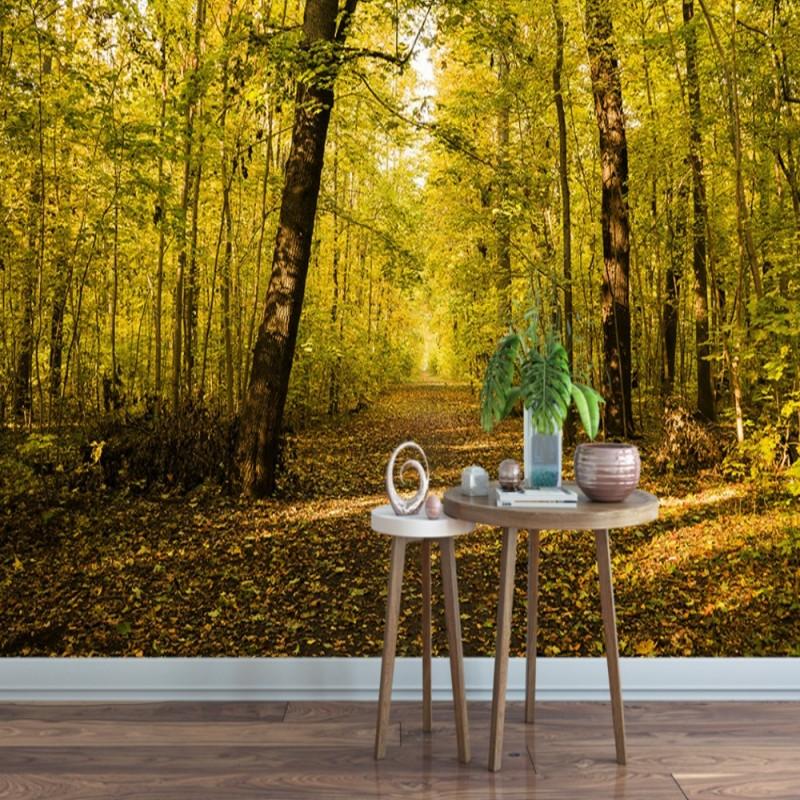 Dropshipping Colomac Wallpaper 3d Forest Sunset Sunlight Shining Wallpapers for Living Room Mural Wallpaper Carta Da Parati 3d, As pic
Dropshipping Colomac Wallpaper 3d Forest Sunset Sunlight Shining Wallpapers for Living Room Mural Wallpaper Carta Da Parati 3d, As pic