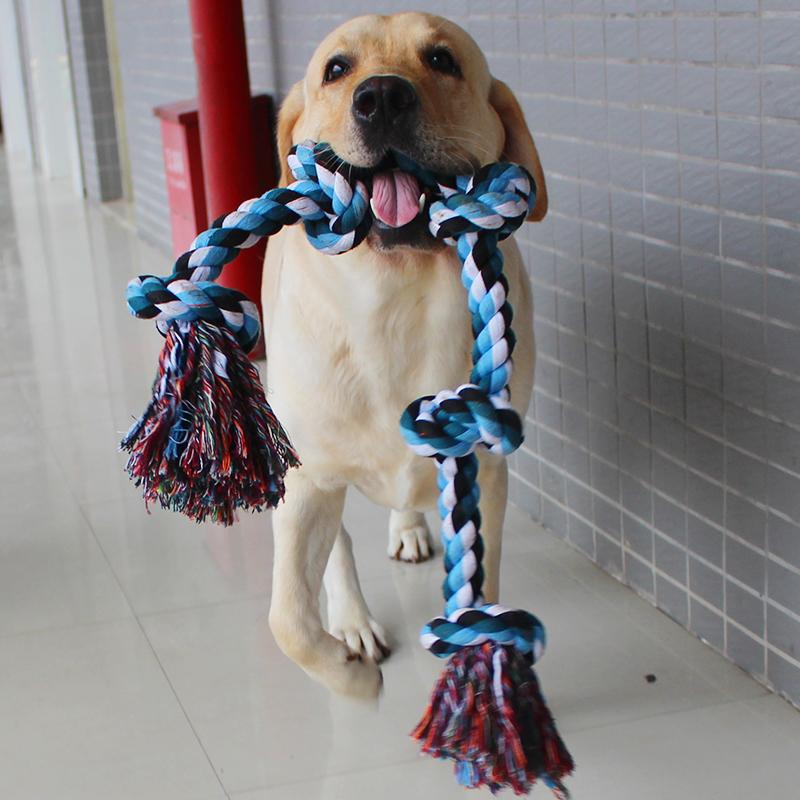 Increase Tuba Pets Mutual Action Bitten Cotton Rope Will The Toy Dog Dog A Molar Tooth Knot Puppy Training Tooth Articles
Increase Tuba Pets Mutual Action Bitten Cotton Rope Will The Toy Dog Dog A Molar Tooth Knot Puppy Training Tooth Articles