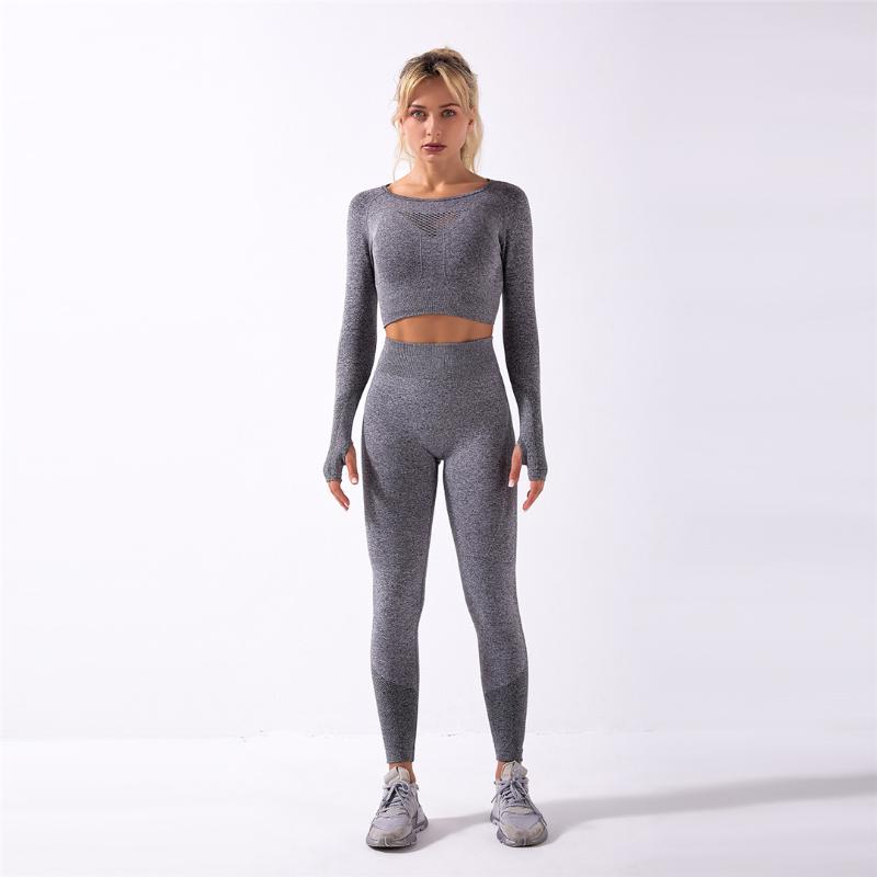 Women Seamless Yoga Set Gym Clothing Fitness Leggings+Cropped Shirts Sport Suit Women Long Sleeve Tracksuit Active Wear A013TP, Gray top
Women Seamless Yoga Set Gym Clothing Fitness Leggings+Cropped Shirts Sport Suit Women Long Sleeve Tracksuit Active Wear A013TP, Gray top