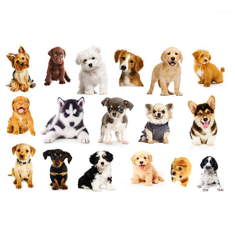 Removable Puppy Wall Sticker DIY Early Education Stickers Art Mural Decals for Kids Living Room Kindergarten Wallpaper1
Removable Puppy Wall Sticker DIY Early Education Stickers Art Mural Decals for Kids Living Room Kindergarten Wallpaper1